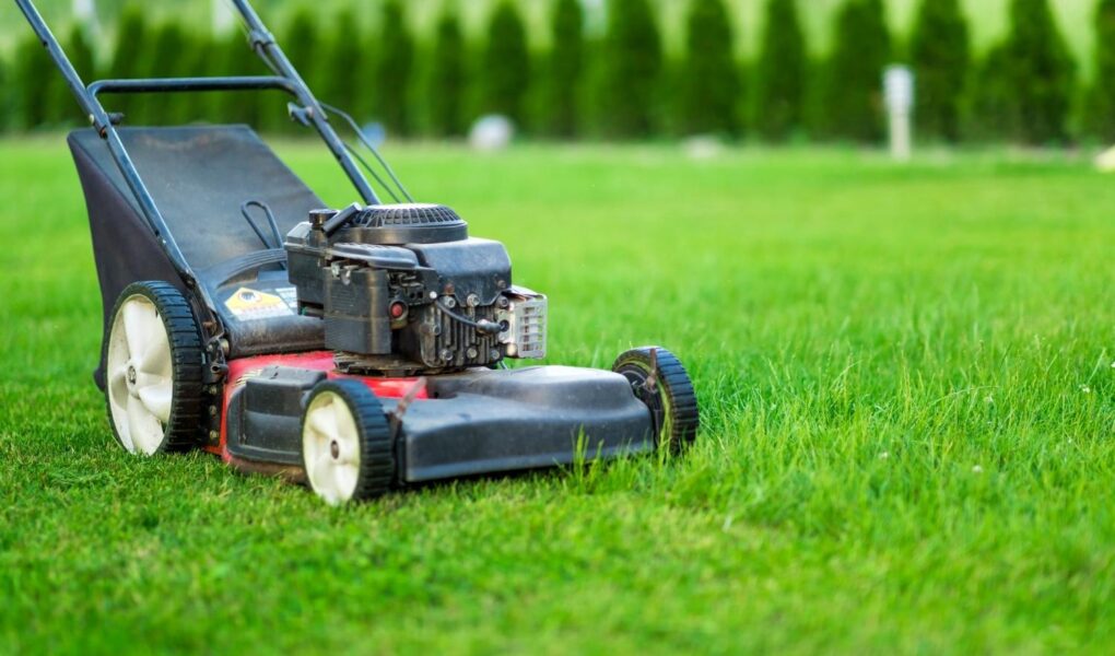 Idealny trawnik- jakie narzędzia ogrodowe są niezbędne?
