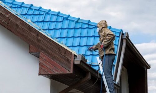 Dlaczego warto przeprowadzić malowanie dachu?